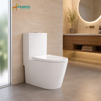 WC monobloc en céramique à siphon, à poser au sol, avec chasse d'eau double et abattant à fermeture douce, design populaire en usine