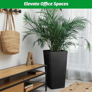 YZT Grande Taille Moderne Commercial Jardinières Style Mexicain Intérieur/Extérieur Durable Pots De Fleurs <span class=keywords><strong>En</strong></span> Plastique pour Jardinier <span class=keywords><strong>Eden</strong></span> - Product Image 3