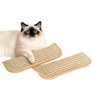 Coussin à chat à la catnip, jouet à mâcher auto-entretenant, résistant à la mastication, nettoyant pour les dents, friandise pour chat, anti-ennui, griffoir, fournitures - Product Image 5