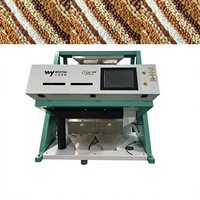 Séparateur intelligent de noix à caméra CCD, directement de l'usine chinoise, pour le tri et le calibrage des noisettes, pecans, pignons de pin et châtaignes
