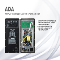 Module d'amplification professionnel Accuracy 15ADA Pro Audio 15ADA 500W pour enceinte active 2 (2.0) ROHS FCC Be Ce