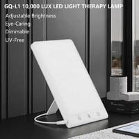 Lámpara de Fototerapia LED Azul de Invierno de 10000LUX OEM, Directo de Fábrica, Brillo Ajustable para Uso en el Hogar, Oficina y Médico, GQ-L1