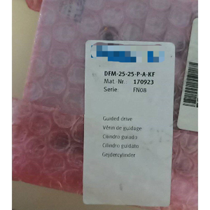 أسطوانة DFM-25-25-<span class=keywords><strong>P</strong></span>-A-wbrKF 170923 طراز DFM2525PAKF - Product Image 1