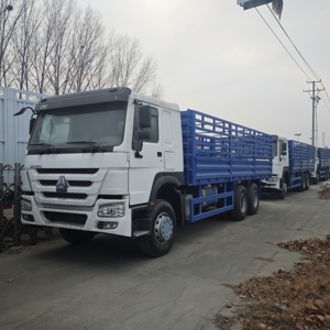 Camion à plateau robuste Howo 6x4 avec moteur à grande puissance et large compatibilité de carburant pour le transport de marchandises agricoles et de bétail en Afrique - Product Image 5