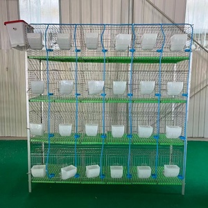 Fabricant Professionnel de Cages Commerciales à 4 Niveaux et 24 Compartiments pour l'Élevage de Lapins - Product Image 2