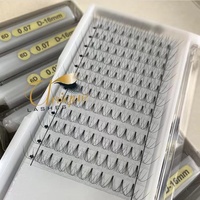 2D 3D 4D 5D 6D 7D Tige courte 0.07 Ventilateurs d'extension de cils Premade Volume Fan Lashes Heat Bonded Eyelash Extensions