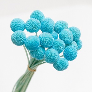 <span class=keywords><strong>Flores</strong></span> Secas <span class=keywords><strong>de</strong></span> Craspedia Billy Balls, Decoración Duradera para el Hogar, Oficina, Bodas y Eventos - Product Image 2