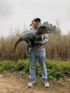 Fiesta de cumpleaños para niños incluso promoción realista hacer diversión dragón dinosaurio marioneta mano dinosaurio dragón marioneta <span class=keywords><strong>Muppets</strong></span> dragón mascota - Product Image 5