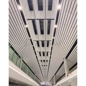 Système de <span class=keywords><strong>plafond</strong></span> à lattes en aluminium ou bandes décoratives pour <span class=keywords><strong>plafond</strong></span> de construction, vente directe d'usine - Product Image 1