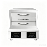 Équipement de cuisine électrique commercial 8000W 50*40cm en acier inoxydable, cuiseur vapeur haute efficacité pour la production quotidienne de rouleaux de riz