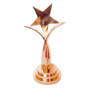 Trofeo personalizado de estrellas pulidas de bronce, trofeo artesanal de resina de Metal PARA LA <span class=keywords><strong>Sociedad</strong></span> de Artes Deportivas, copa de premio de campeón, regalos de recuerdo de negocios - Product Image 6