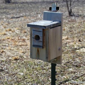 T-<span class=keywords><strong>post</strong></span> gắn <span class=keywords><strong>Bracket</strong></span> 3 "cho hộp thư t bài Hanger hàng rào chân đế cho birdhouse Trail máy ảnh hộp thư gắn <span class=keywords><strong>Bracket</strong></span> - Product Image 3