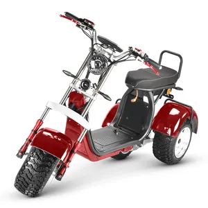 Dropshipping EU Warehouse 3 ruote scooter elettrico a lungo raggio 1500w 2000w Fat Tire Citycoco 40AH moto elettriche