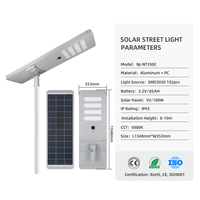 Lampadaire solaire tout-en-un 100W en aluminium moulé sous pression, étanche IP65, avec batterie LiFePO4 et lampe LED pour projets routiers municipaux