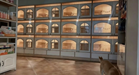 Cage à chat en bois massif de luxe sur mesure, extra-large, pour intérieur, villa pour chat, vitrine de magasin d'animaux pour l'élevage