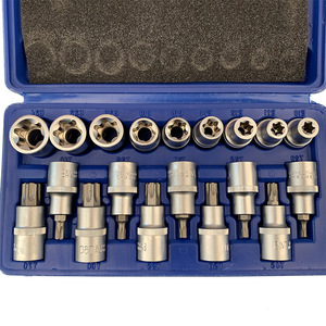 DZT/Dongzhe 19Pc Chrome Vanadium Steel <b>Socket</b> Set 1/4 In Torx Hex Drive Industrial Grade Tool Kit - Product Image 1