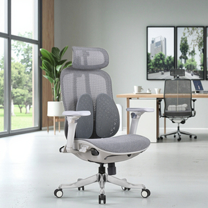 2025 New Arrival Adjustable Armrest Full Mesh Ergonomic <b>Office</b> <b>Chair</b> With Big Lumber <b>Support</b> Z-E2518HG Ergonomic <b>Office</b> <b>Chair</b> Z- - Product Image 1