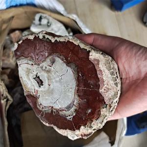 ไม้ฟอสซิลทรงกระบอกขัดเงาธรรมชาติ ขายส่ง หินไม้ฟอสซิลหยาบ ไม้กลายเป็นหิน - Product Image 3