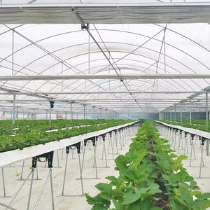 โรงเรือนพลาสติกแบบหลายช่วงพร้อมระบบระบายอากาศและบังแดดสำหรับปลูกผักและดอกไม้ - Product Image 6