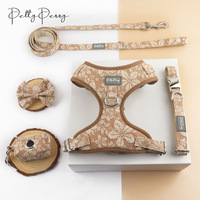 Nouveau style de laisse, harnais et collier pour chien, fournitures pour animaux de compagnie, pour chiens de petite et moyenne taille, harnais pour usage extérieur, vente en gros