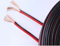 Ulusal Standart Kırmızı-Siyah RVB Paralel Kablo 05/03/075 mm Çift Damarlı Örgülü Tel LED Aydınlatma Dış Mekan Kullanımı İçin