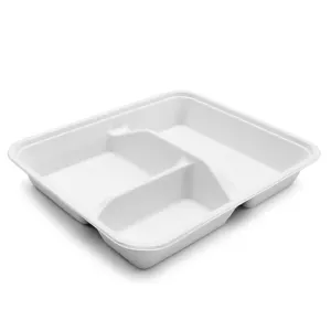 Wholesale 9 Inch Biodegradable Pulp Molded Packing Disposable Compostable Sugarcane Bagasse Plates