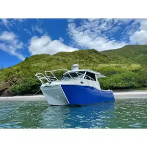 Dijual Perahu Aluminium Lepas Pantai Australia 29ft 8.9M Catamaran Aluminium Kapal Pesiar Kabin Memancing