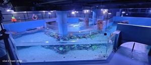 Dự Án tấm kính <span class=keywords><strong>Acrylic</strong></span> trong suốt tùy chỉnh - Product Image 2