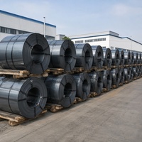 Bande de tôle d'acier au carbone de qualité export, bobine de tôle d'acier laminée à froid, taille personnalisée pour les acheteurs industriels mondiaux