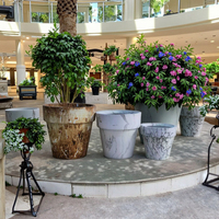 Pots de fleurs en argile fibreuse multicolores les plus vendus, pots de plantation de jardin d'extérieur, biodégradables, écologiques, durables, avec trou de drainage
