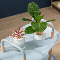 Ruipu Nieuwe Verdikte Pp Materiaal Indoor Witte Spiraal Pot De Fleur Exterieur Ontwerp Zelf-Absorberende Bloempot