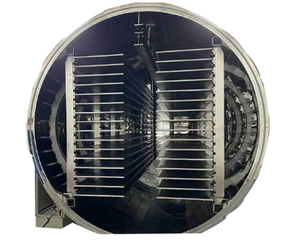 Línea de procesamiento Yumberry congelada automática - Product Image 5