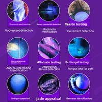 Lampe torche UV LED violette, détecteur de billets, stylo 365nm, camping, batterie rechargeable, multifonctionnelle, portable, en alliage d'aluminium, optique