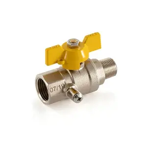 Gas Test Point BSP Threaded Brass Ball Valve For Natural Gas And LPG