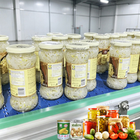 Ligne de production de conserves de légumes ENAK, ligne de production de tranches de pousses de bambou en conserve, ligne de production de bandes de pousses de bambou en conserve