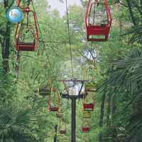 Télésiège Ropeway Sightseeing Cablecar 2 Seat Fix Grip Chairlift dans la zone touristique Scenic Area