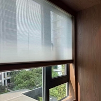 Persianas Enrollables Inteligentes de Tela Moderna Personalizadas de Fábrica para el Hogar, Dormitorio, Estudio, Sala de Estar, Uso Diurno y Nocturno