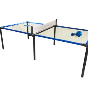 可拆卸乒乓球游戏套装桌板网和球乒乓球室内或室外与家人一起玩