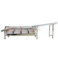 Orbitale sorteermachine voor rambutan, sinaasappels, walnoten, tomaten en mangosteen.