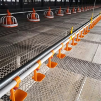 Nouvel équipement avicole entièrement automatique : Système efficace de ligne d'alimentation et d'abreuvement par silo pour poules pondeuses et poulets de chair en élevage