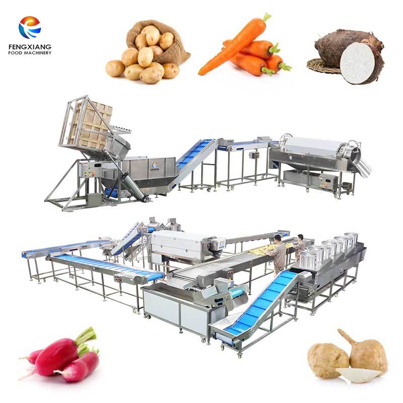 Factory Custom Made Root Vegetable Processing
