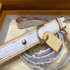 <span class=keywords><strong>Collar</strong></span> de perro de diseñador de lujo ajustable y conjunto de correa de cuero estampado de moda con decoración de remaches y embalaje de caja agradable - Product Image 2