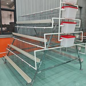 Diseño <span class=keywords><strong>de</strong></span> Granja Avícola, Jaulas para Pollos, Gallineros <span class=keywords><strong>de</strong></span> Baterías para Gallinas Ponedoras, Jaulas <span class=keywords><strong>de</strong></span> Cría para Gallinas Ponedoras en Venta en Argelia - Product Image 1