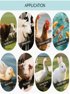 फैक्ट्री फीड पेलेट मिल मशीन चिकन गाय गाय गाय खरगोश चारा चारा मशीन उत्पादन लाइन - Product Image 6