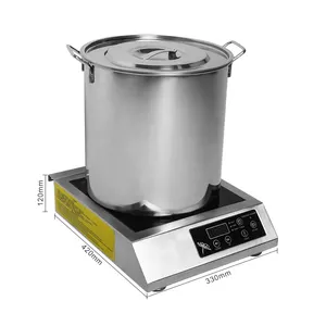 Tea set electric pottery stove mini tea maker small induction cooker light wave stove electric stove