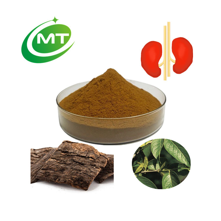 Free sample High Quality 100% Organic Eucommia Bark Extract Powder 10:1 Eucommia ulmoides leaf extract 98%chlorogenic acid