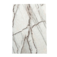 Feuille de marbre pvc brillant décorations murales de panneau uv pour la maison