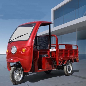 Auto Three Wheeler Tricycle 1500W Tricycle Screen Canopy Cabin Pedicab Manufacturer Price - Product Image 2
