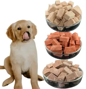 Penjualan pabrik suplemen hewan peliharaan nutrisi makanan ringan kering beku untuk kucing anjing makanan hewan peliharaan