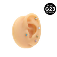 G23 Titanium Alloy Plant Vierklaverblad Mini Stud Oorbellen voor oorcartilage, flat-bottom lip piercing